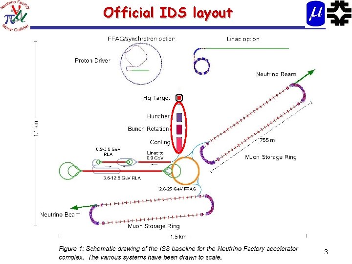 Official IDS layout 3 