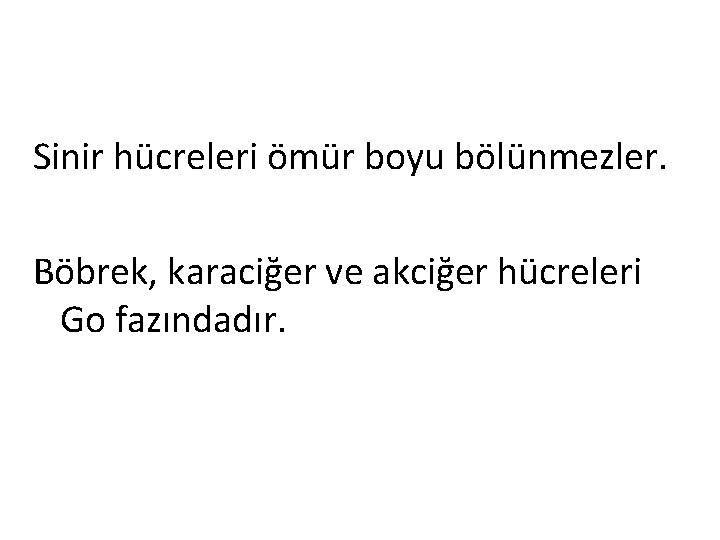 Sinir hücreleri ömür boyu bölünmezler. Böbrek, karaciğer ve akciğer hücreleri Go fazındadır. 