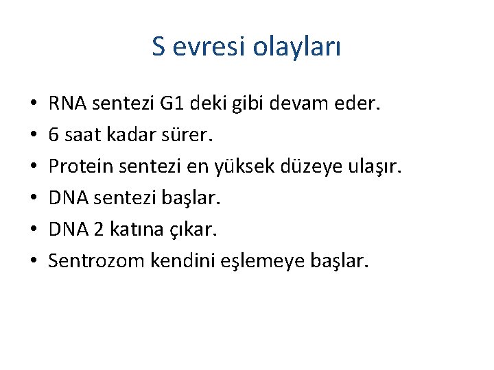 S evresi olayları • • • RNA sentezi G 1 deki gibi devam eder.