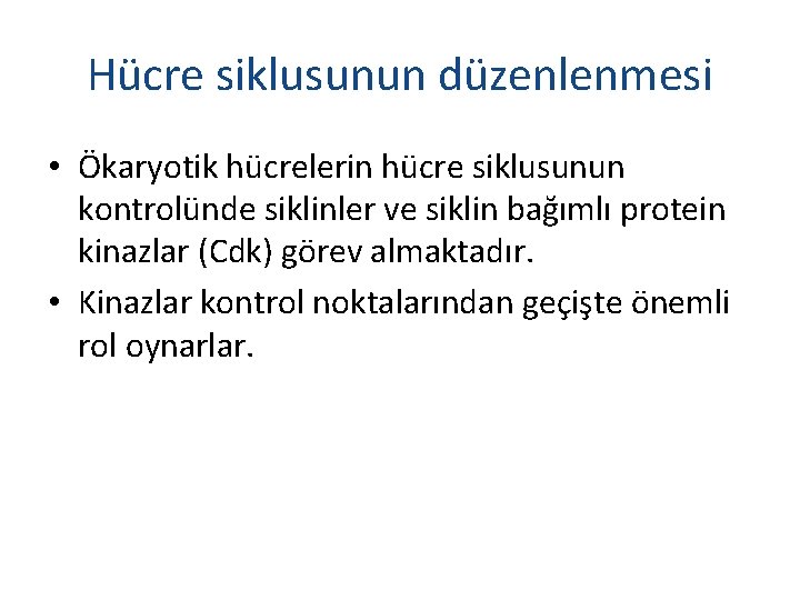 Hücre siklusunun düzenlenmesi • Ökaryotik hücrelerin hücre siklusunun kontrolünde siklinler ve siklin bağımlı protein