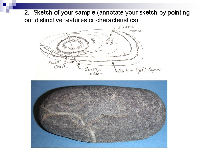 2. Sketch of your sample (annotate your sketch by pointing out distinctive features or
