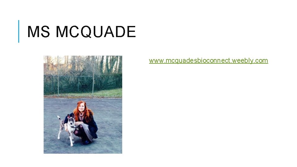 MS MCQUADE www. mcquadesbioconnect. weebly. com 