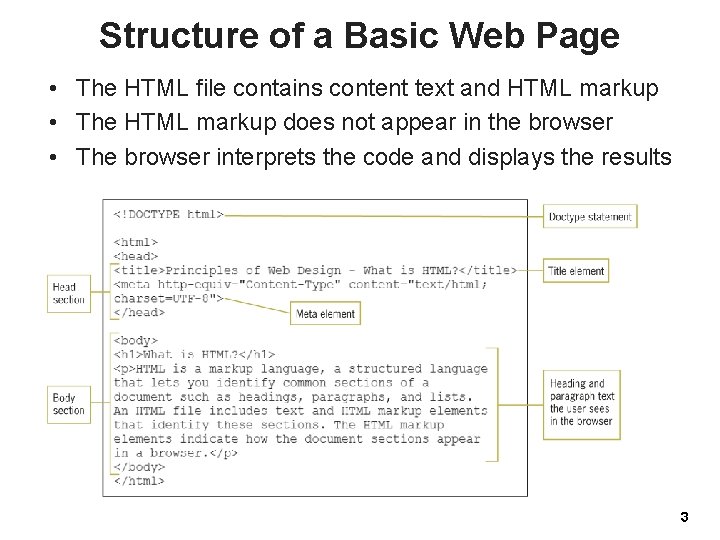 Structure of a Basic Web Page • The HTML file contains content text and