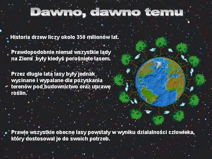 Historia drzew liczy około 350 milionów lat. Prawdopodobnie niemal wszystkie lądy na Ziemi były