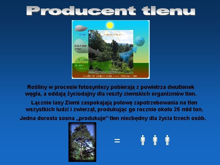 Rośliny w procesie fotosyntezy pobierają z powietrza dwutlenek węgla, a oddają życiodajny dla reszty