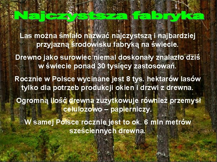 Las można śmiało nazwać najczystszą i najbardziej przyjazną środowisku fabryką na świecie. Drewno jako