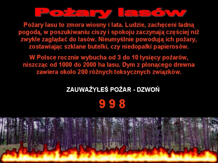 Pożary lasu to zmora wiosny i lata. Ludzie, zachęceni ładną pogodą, w poszukiwaniu ciszy