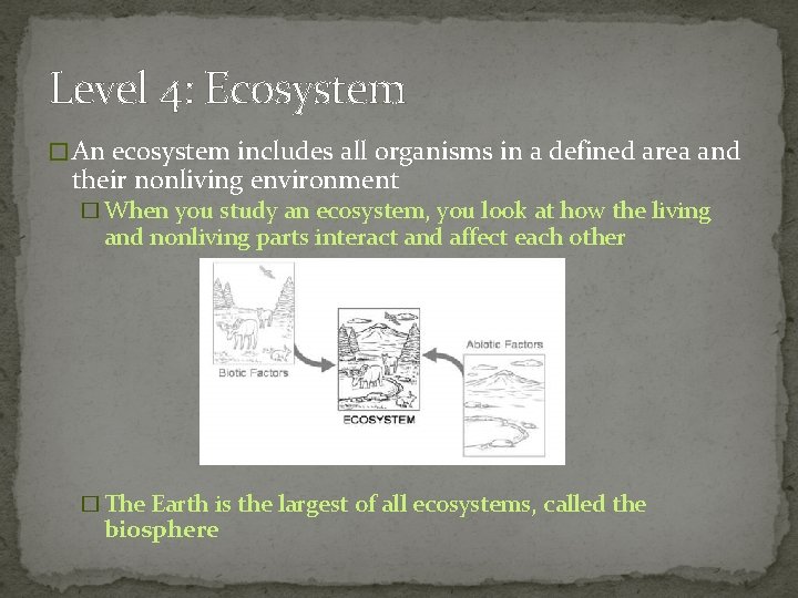 Level 4: Ecosystem � An ecosystem includes all organisms in a defined area and