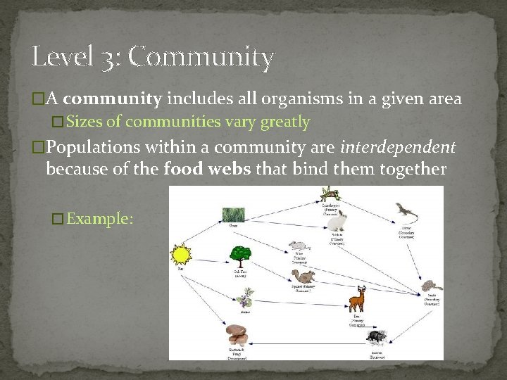 Level 3: Community �A community includes all organisms in a given area � Sizes