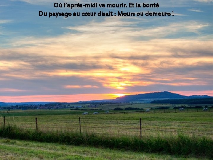 Où l’après-midi va mourir. Et la bonté Du paysage au cœur disait : Meurs