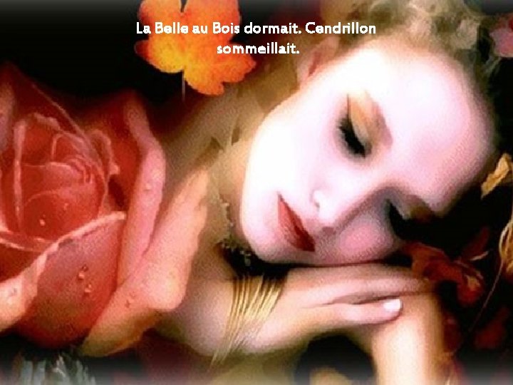 La Belle au Bois dormait. Cendrillon sommeillait. 