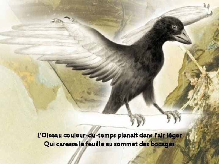 L’Oiseau couleur-du-temps planait dans l’air léger Qui caresse la feuille au sommet des bocages