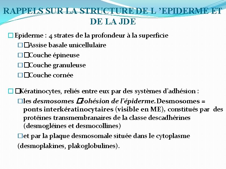 RAPPELS SUR LA STRUCTURE DE L ’EPIDERME ET DE LA JDE �Epiderme : 4