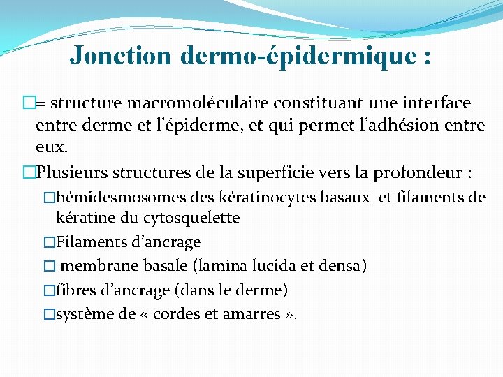 Jonction dermo-épidermique : �= structure macromoléculaire constituant une interface entre derme et l’épiderme, et