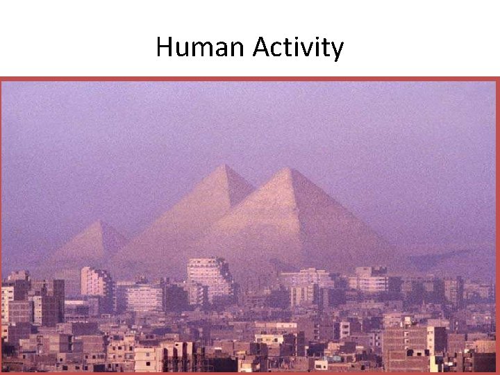Human Activity 