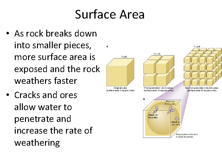 Surface Area • As rock breaks down into smaller pieces, more surface area is