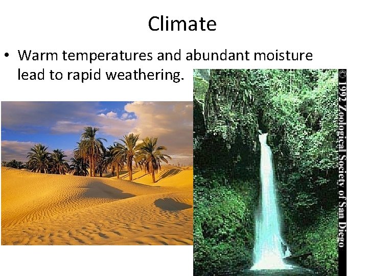 Climate • Warm temperatures and abundant moisture lead to rapid weathering. 