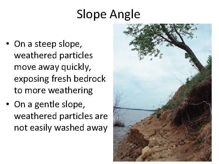 Slope Angle • On a steep slope, weathered particles move away quickly, exposing fresh