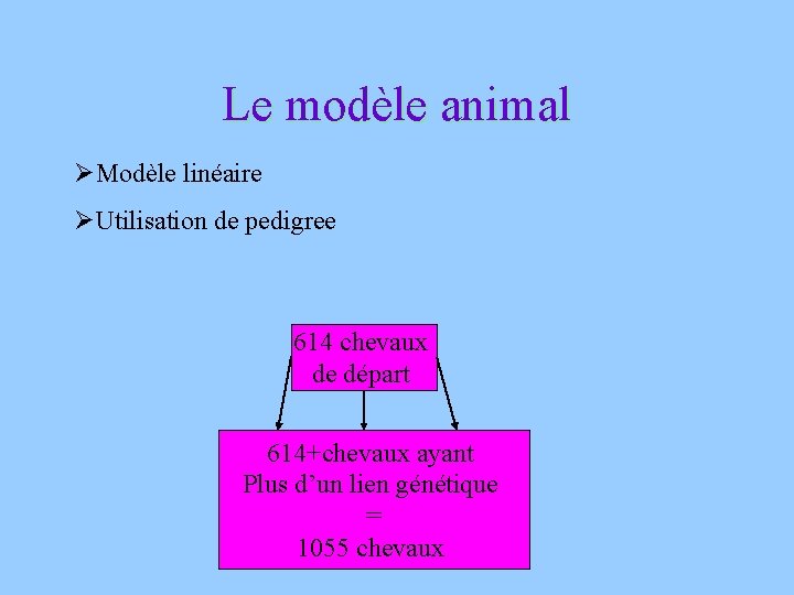 Le modèle animal ØModèle linéaire ØUtilisation de pedigree 614 chevaux de départ 614+chevaux ayant