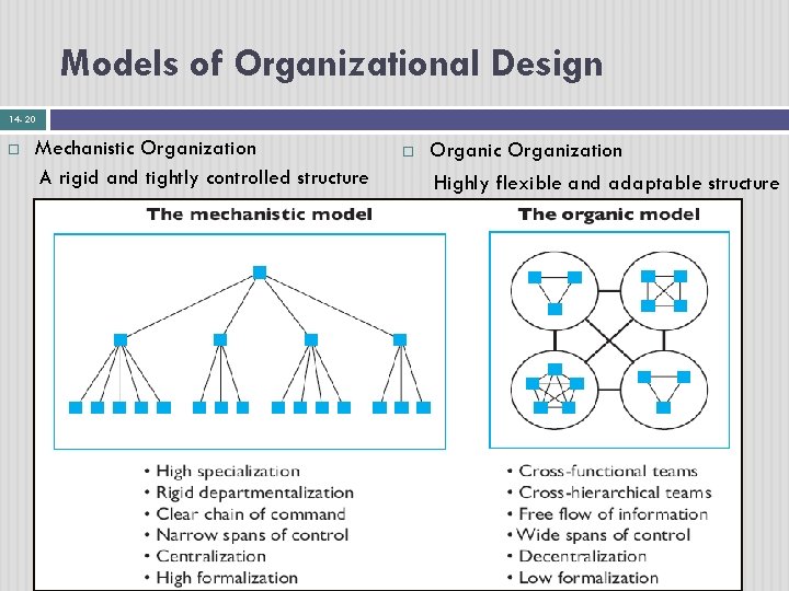 Models of Organizational Design 14 - 20 Mechanistic Organization A rigid and tightly controlled