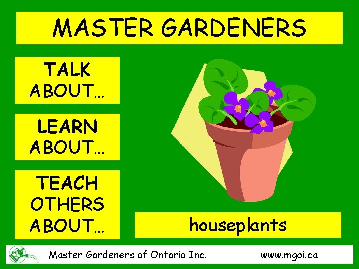 MASTER GARDENERS TALK ABOUT… LEARN ABOUT… TEACH OTHERS ABOUT… houseplants Houseplants Master Gardeners of