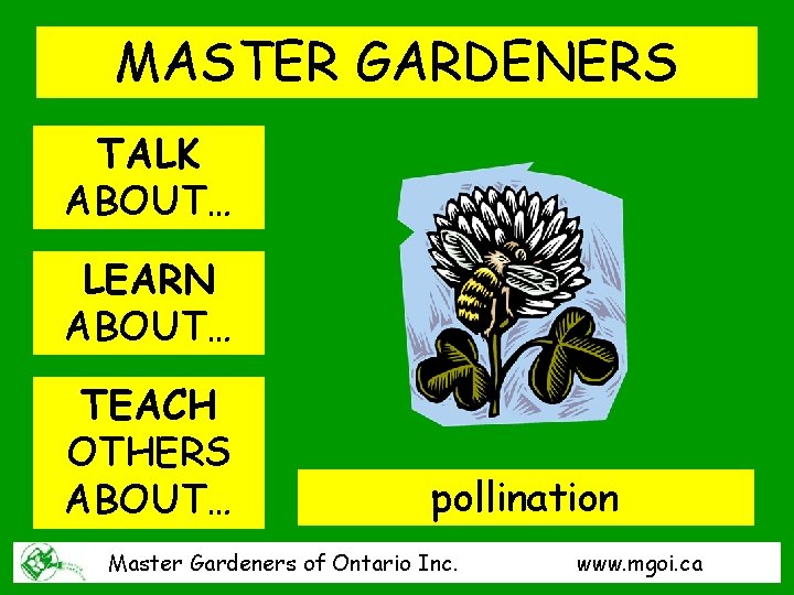 MASTER GARDENERS TALK ABOUT… LEARN ABOUT… TEACH OTHERS ABOUT… pollination Master Gardeners of Ontario