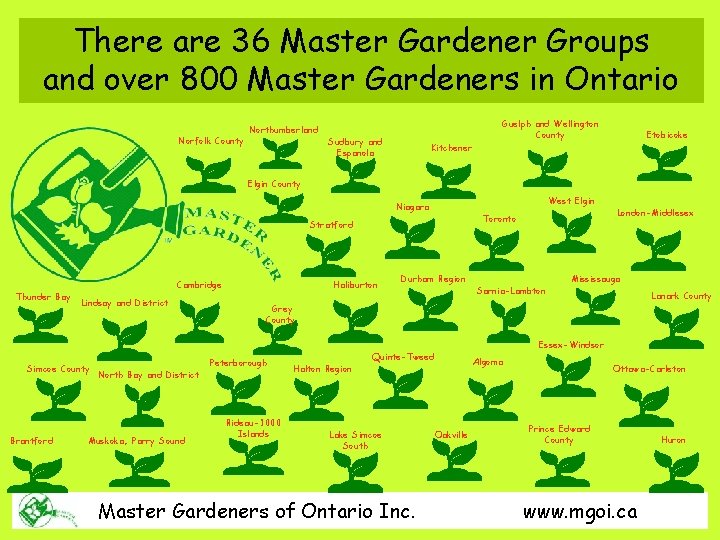 There are 36 Master Gardener Groups and over 800 Master Gardeners in Ontario Norfolk