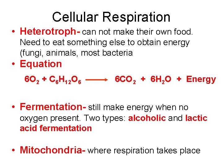 Cellular Respiration • Heterotroph- can not make their own food. Need to eat something