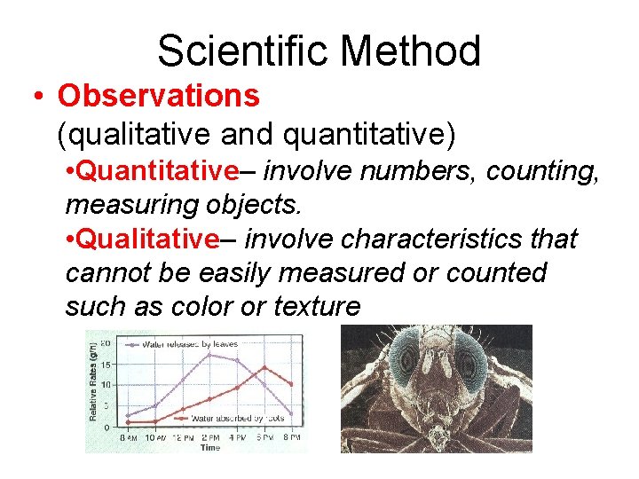 Scientific Method • Observations (qualitative and quantitative) • Quantitative– involve numbers, counting, measuring objects.