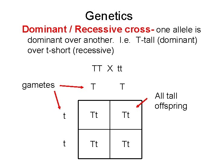 Genetics Dominant / Recessive cross- one allele is dominant over another. I. e. T-tall