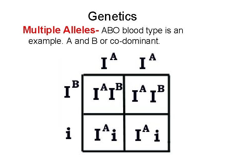 Genetics Multiple Alleles- ABO blood type is an example. A and B or co-dominant.