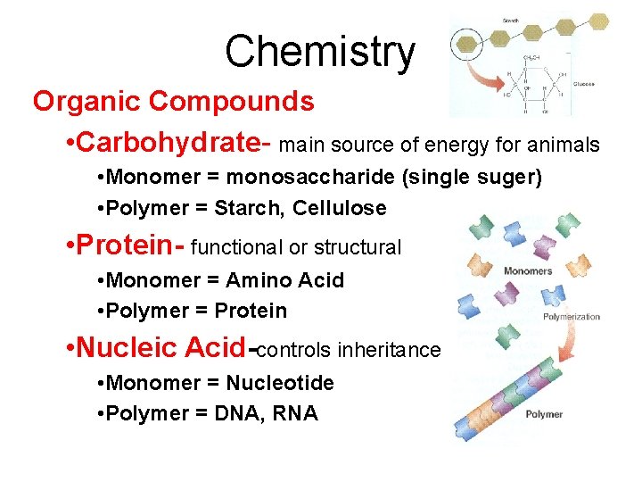 Chemistry Organic Compounds • Carbohydrate- main source of energy for animals • Monomer =