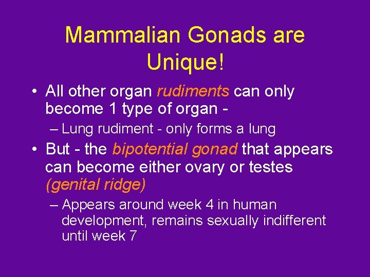 Mammalian Gonads are Unique! • All other organ rudiments can only become 1 type