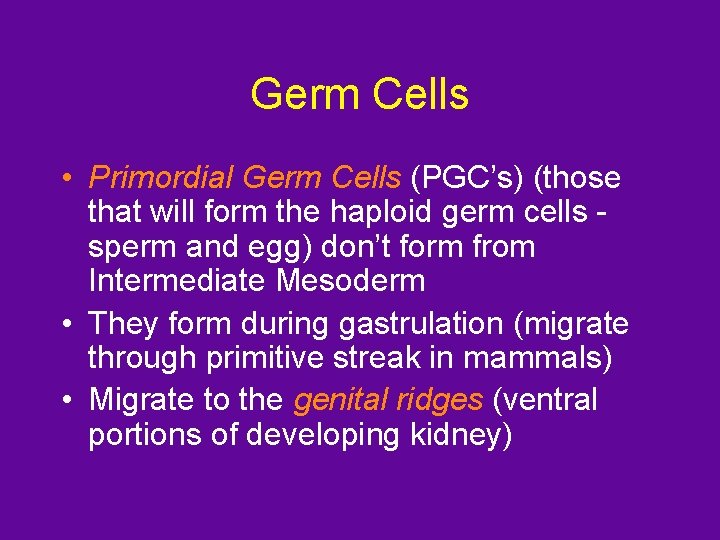 Germ Cells • Primordial Germ Cells (PGC’s) (those that will form the haploid germ