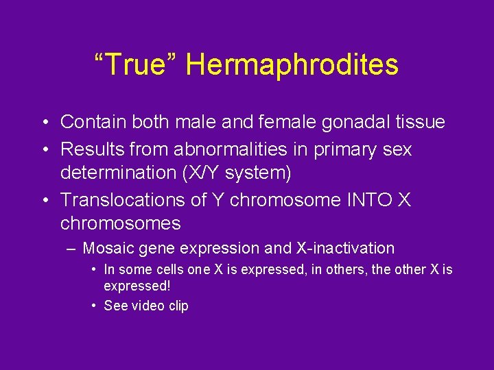 “True” Hermaphrodites • Contain both male and female gonadal tissue • Results from abnormalities