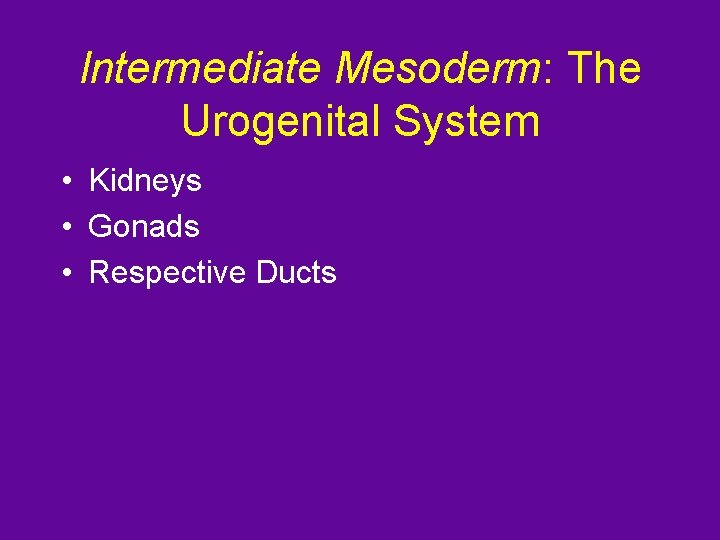 Intermediate Mesoderm: The Urogenital System • Kidneys • Gonads • Respective Ducts 