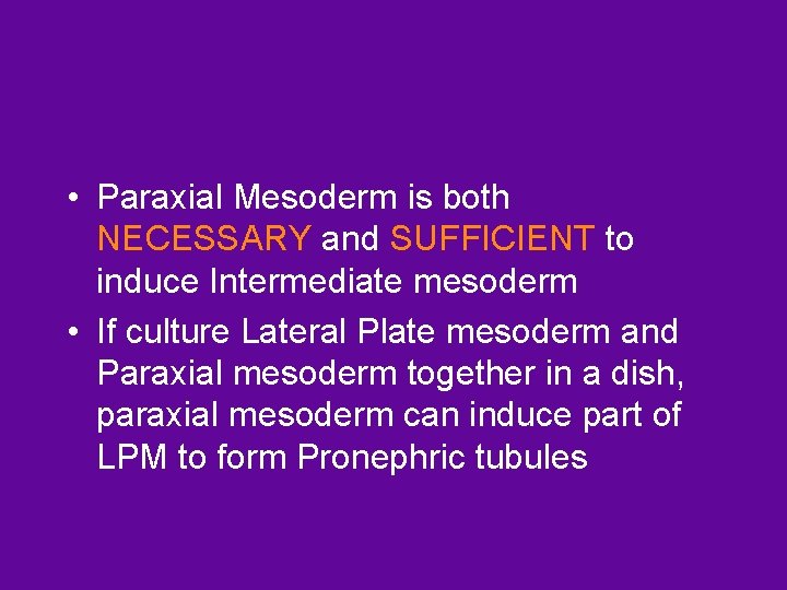  • Paraxial Mesoderm is both NECESSARY and SUFFICIENT to induce Intermediate mesoderm •