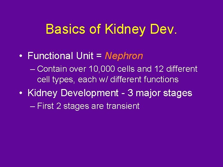 Basics of Kidney Dev. • Functional Unit = Nephron – Contain over 10, 000