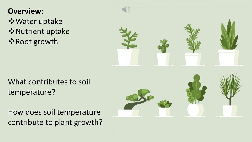 Overview: v. Water uptake v. Nutrient uptake v. Root growth What contributes to soil