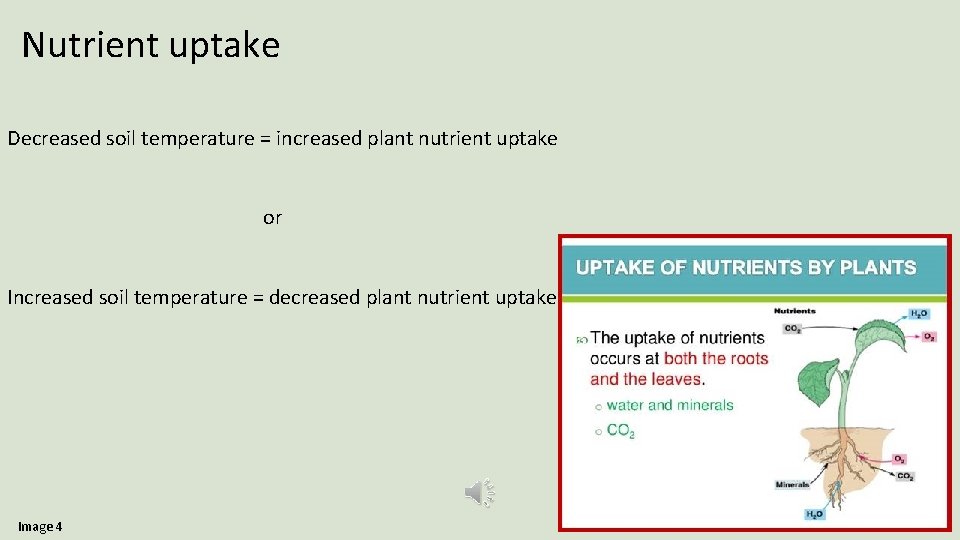 Nutrient uptake Decreased soil temperature = increased plant nutrient uptake or Increased soil temperature