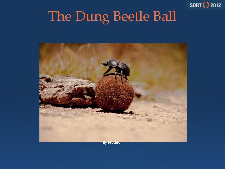 The Dung Beetle Ball By bloddo 