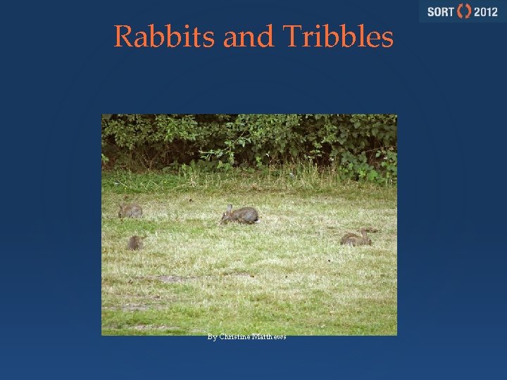 Rabbits and Tribbles By Christine Matthews 