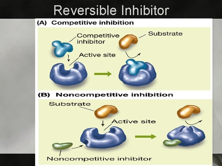 Reversible Inhibitor 