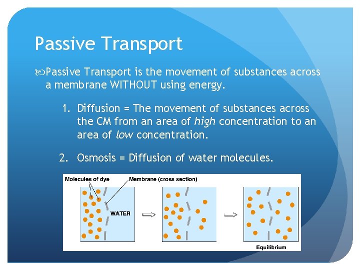 Passive Transport is the movement of substances across a membrane WITHOUT using energy. 1.