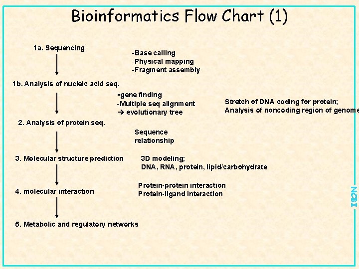 Bioinformatics Flow Chart (1) 1 a. Sequencing -Base calling -Physical mapping -Fragment assembly 1