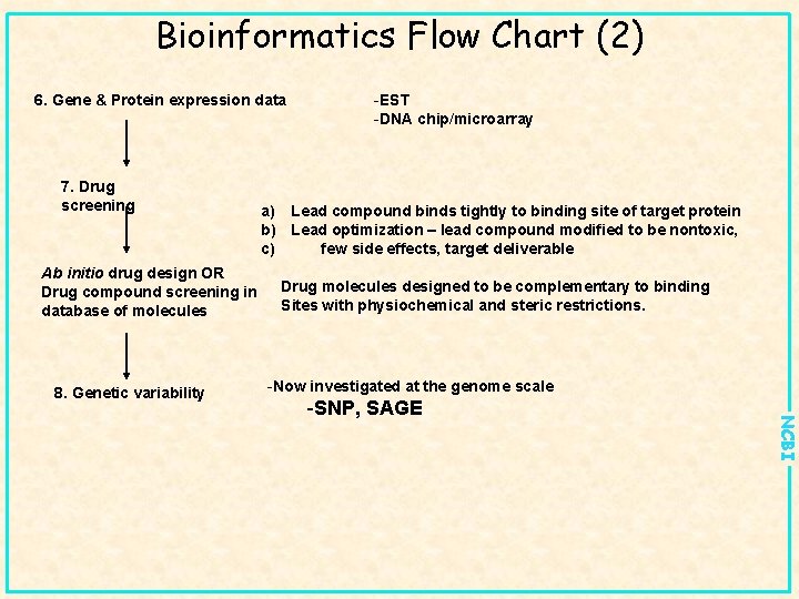 Bioinformatics Flow Chart (2) 6. Gene & Protein expression data 7. Drug screening Ab