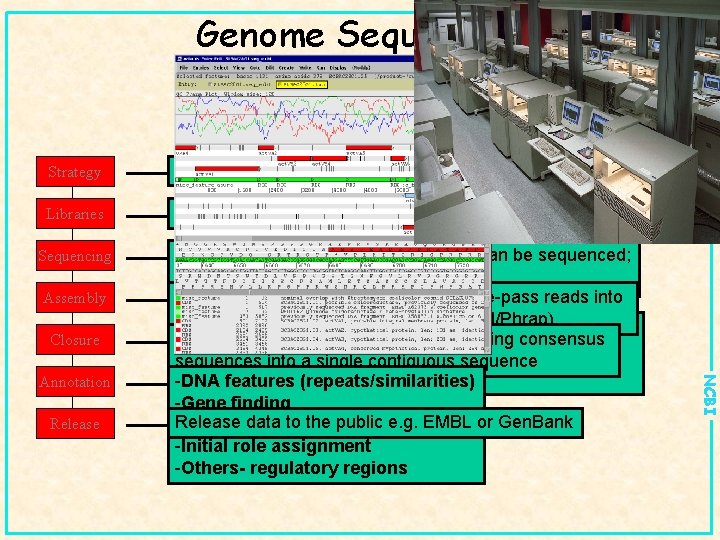 Genome Sequencing Strategy Clone by clone vs whole genome shotgun Libraries Subcloning; generate small