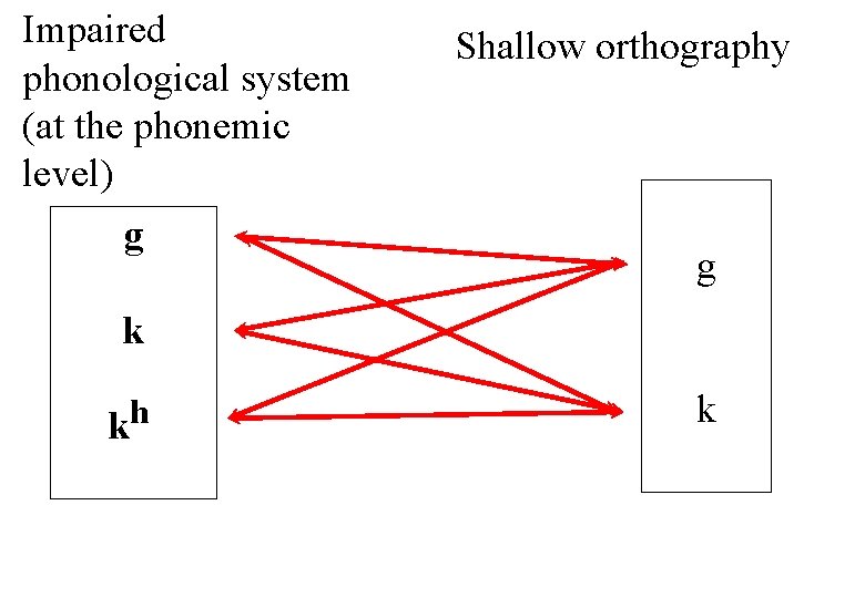 Impaired phonological system (at the phonemic level) g Shallow orthography g k kh k