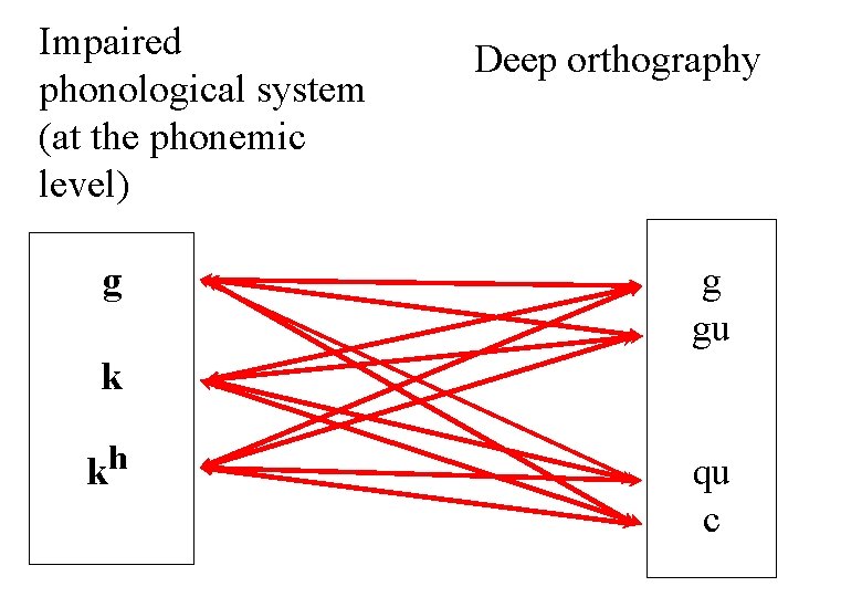Impaired phonological system (at the phonemic level) g Deep orthography g gu k h