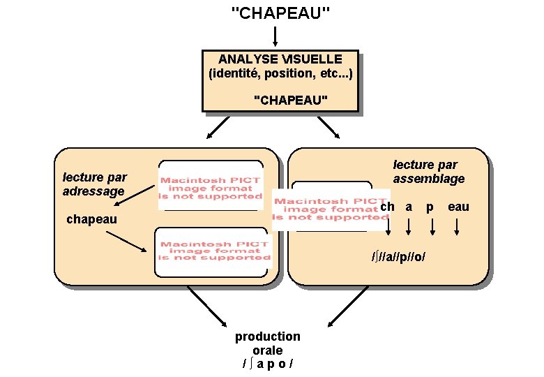 "CHAPEAU" ANALYSE VISUELLE (identité, position, etc. . . ) "CHAPEAU" lecture par assemblage lecture
